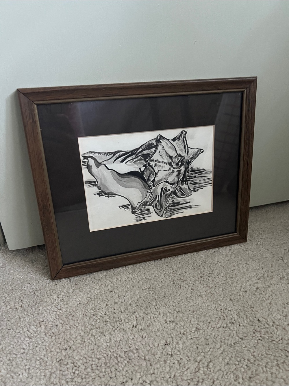 Vintage Black and White Shell Illustration Framed Wall Art